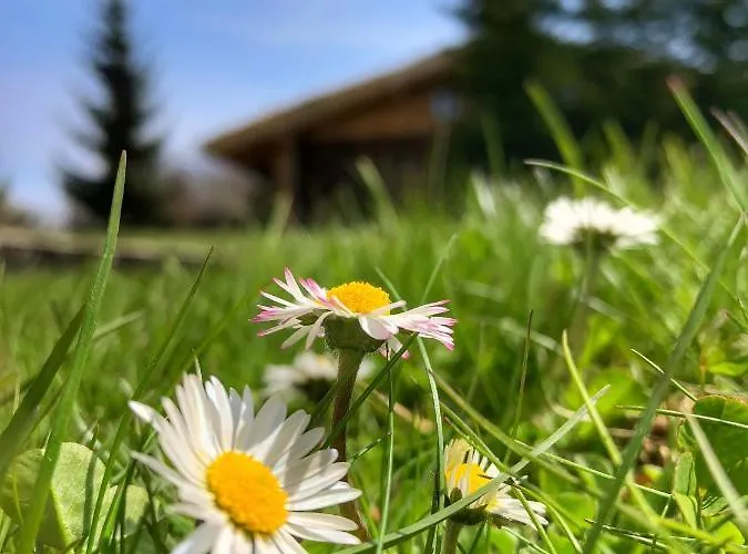 Sruby Haida Holiday park